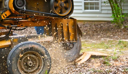 Stump Removal Services