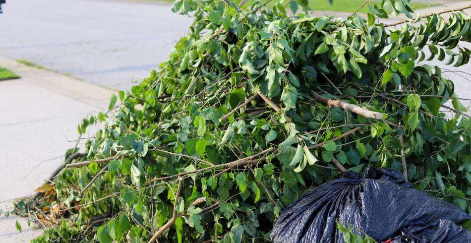 Tree Debris Removal Services (1) Tree Debris Removal Services (1)
